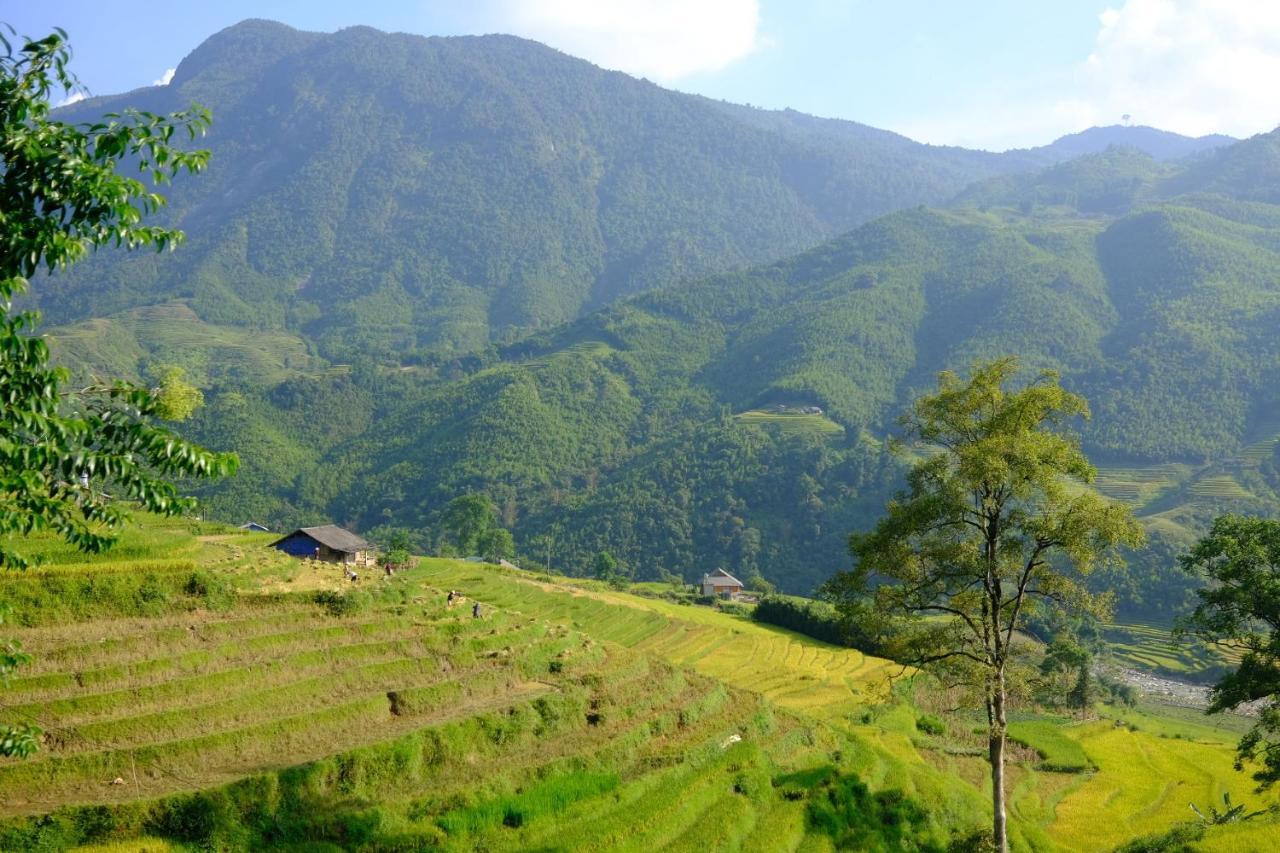 Sapa Hmong Bungalow Homestay Exteriör bild