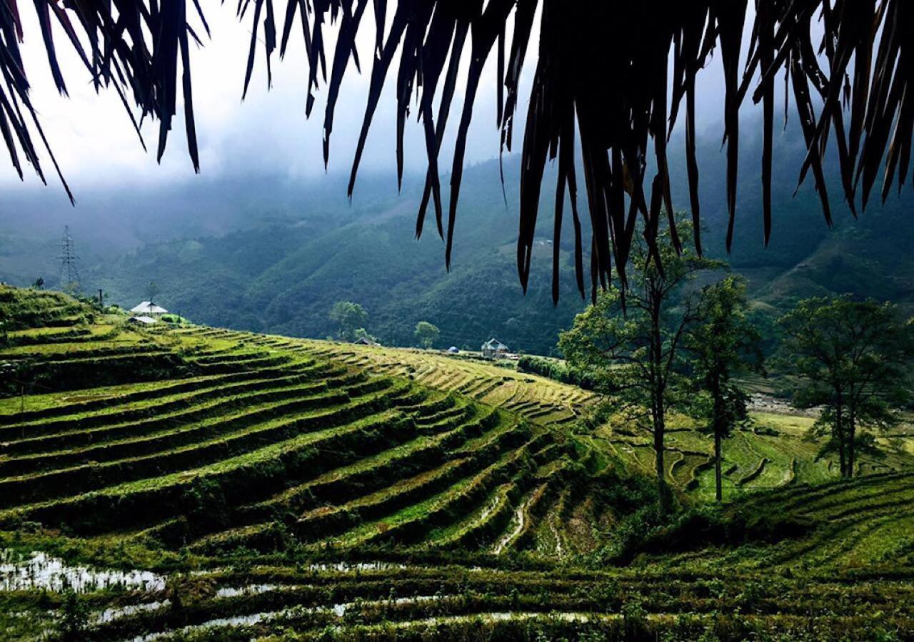 Sapa Hmong Bungalow Homestay Exteriör bild